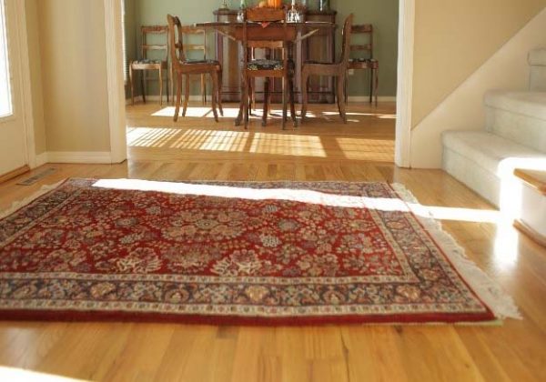 Sunlight Damages to Carpet & Methods to Protect It
